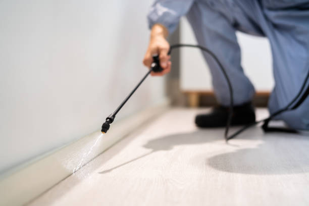 Licensed Termite Control service in Baldwin, FL - Nex Pest Control