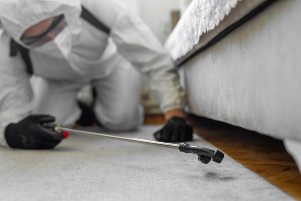 Professional Termite Control technician working in Baldwin, FL