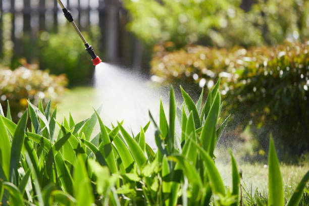 24/7 Emergency Termite Control experts in Baldwin, FL