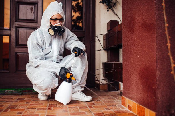 Reliable Termite Control contractor in Baldwin, FL by Nex Pest Control
