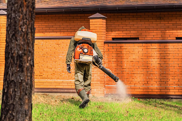 Top rated local Termite Control specialists in Baldwin, FL